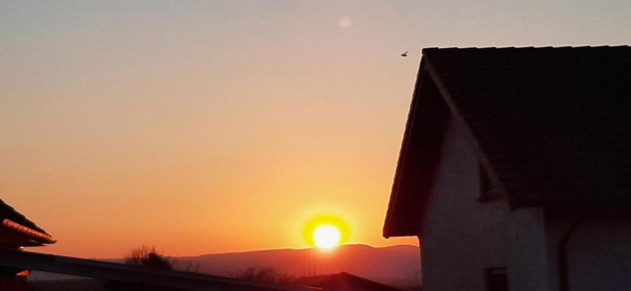 Ferienwohnung Gutowski Andernach Luaran gambar