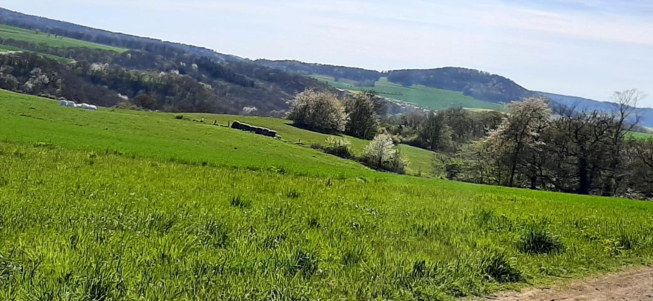 Ferienwohnung Gutowski Andernach Luaran gambar